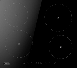 Induktionsfeld Reparatur Goslar